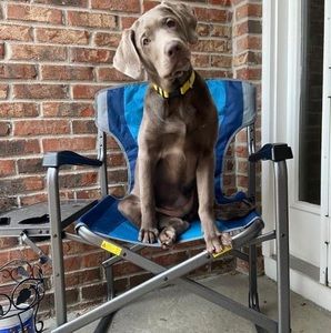 Meet your Posher, Cory